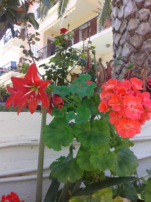 Aggeliki Apartments Nikiana Zimmer foto